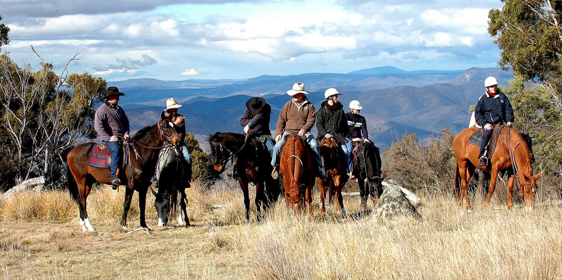 Mountain horse shop victoria high rider